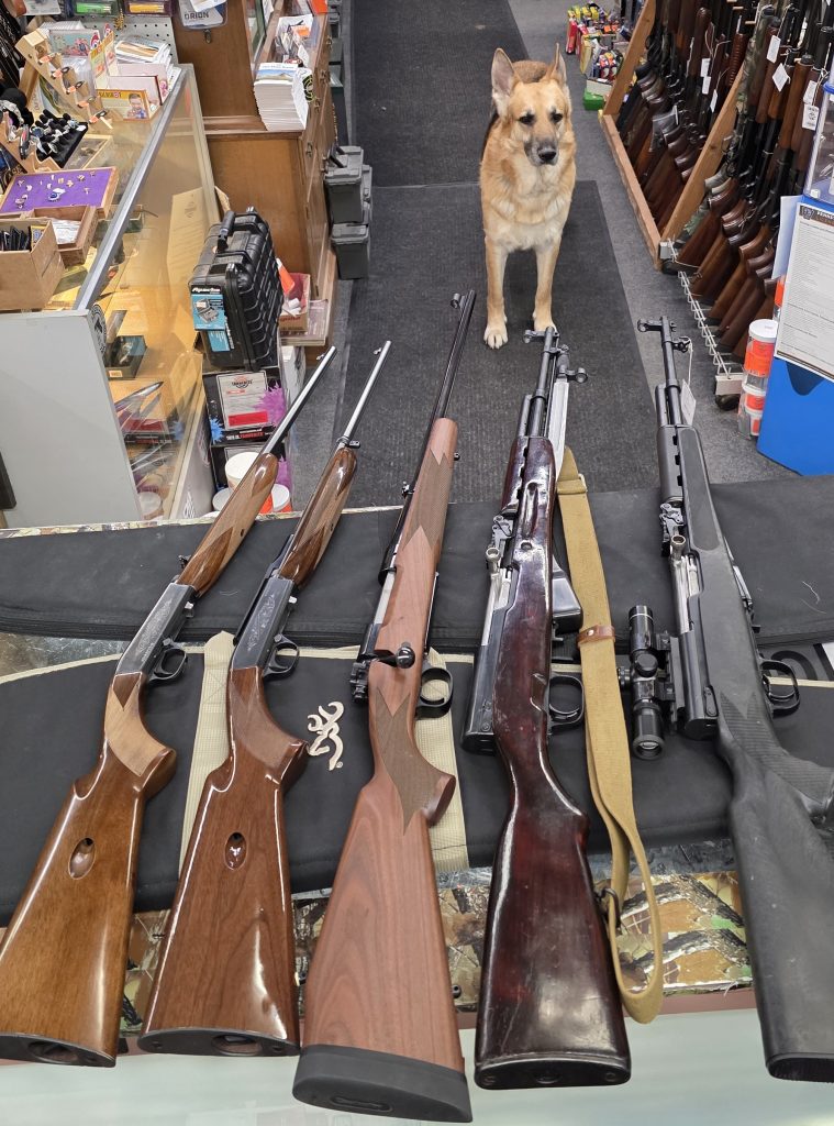 New Arrivals ~ 11 April, 2026