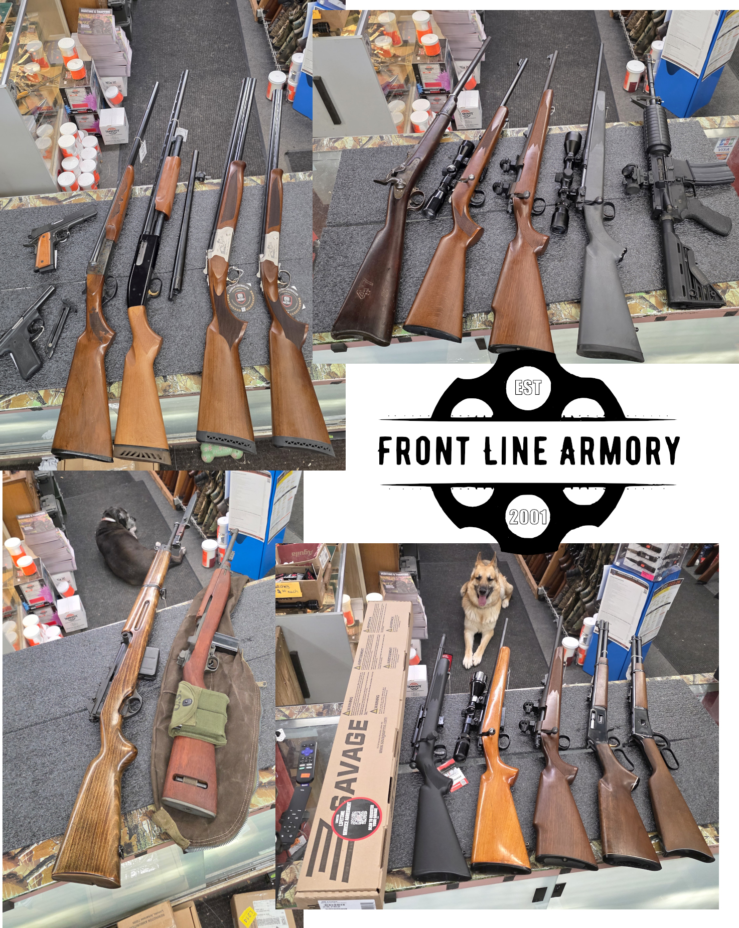 new arrivals 3-june-2026
